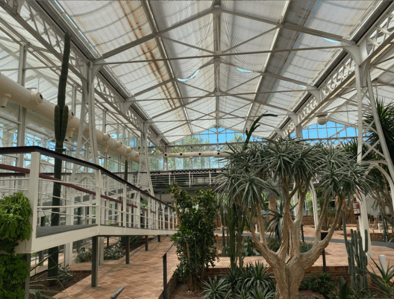 Motores automatización invernadero