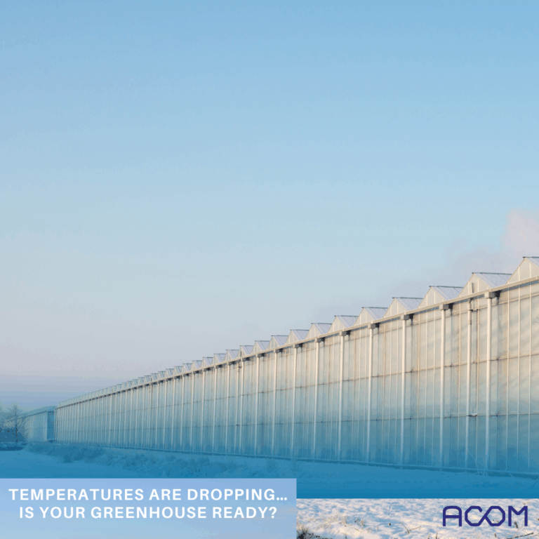 ACOM greenhouse prepared for low winter temperatures