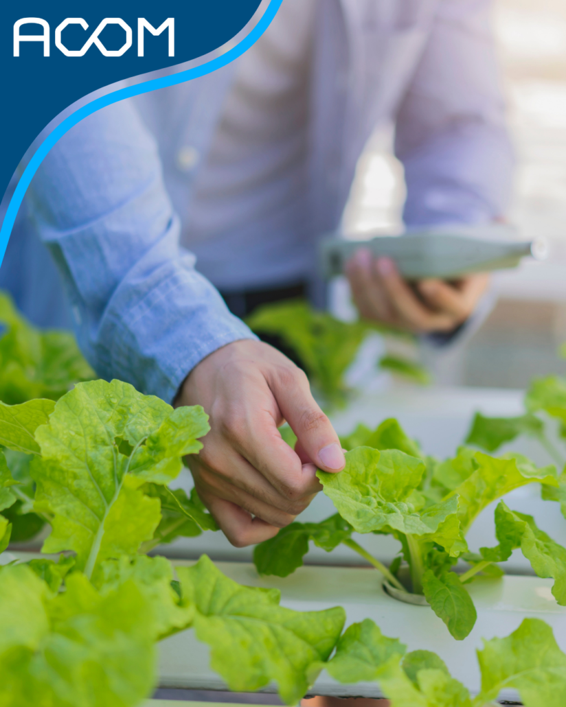 Desmontando mitos: sondas inalámbricas vs analógicas