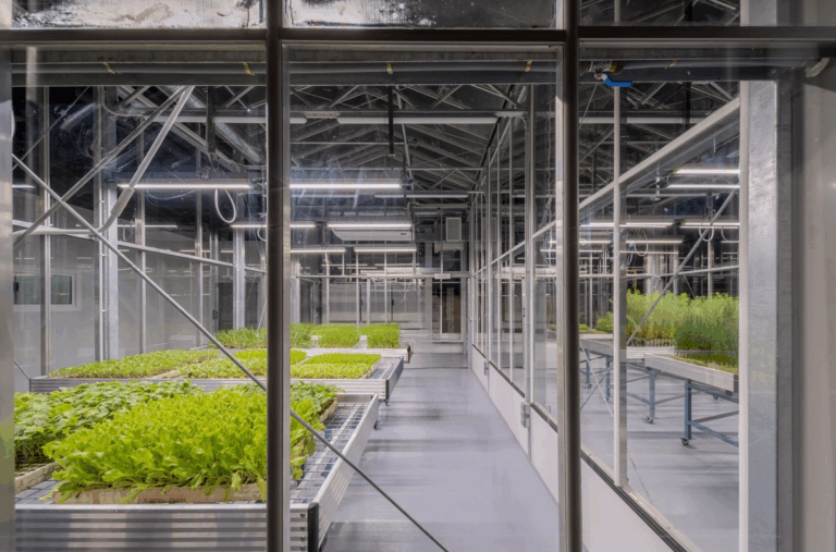 Invernadero de investigación en ambiente controlado diseñado por ACOM Lab