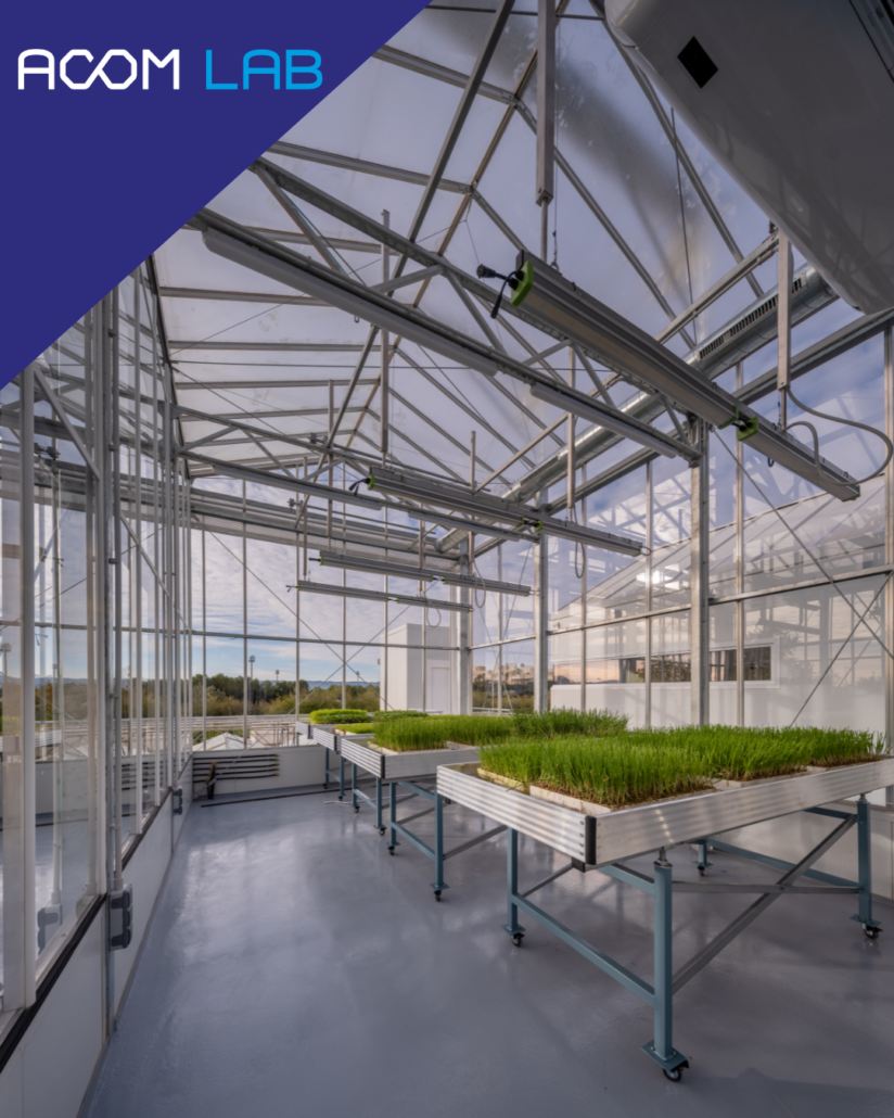 Contención nivel NCB2+ de invernaderos de investigación-1