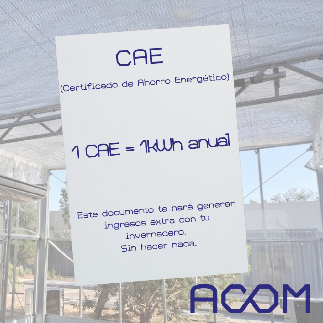 CAE: como conseguir el certificado con ACOM
